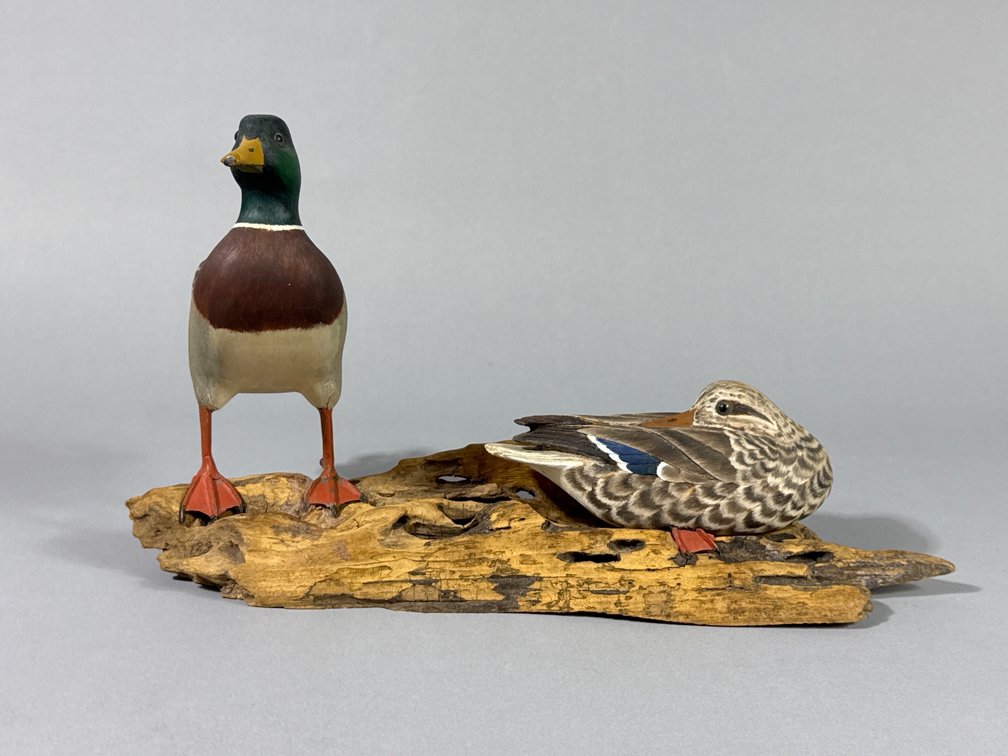 Donald Wheateraft, Odessa, DE, Mallards