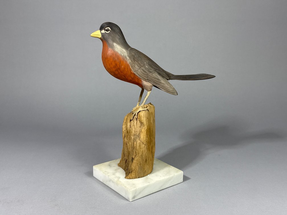 Donald Wheatcraft, Odessa, DE, Robin