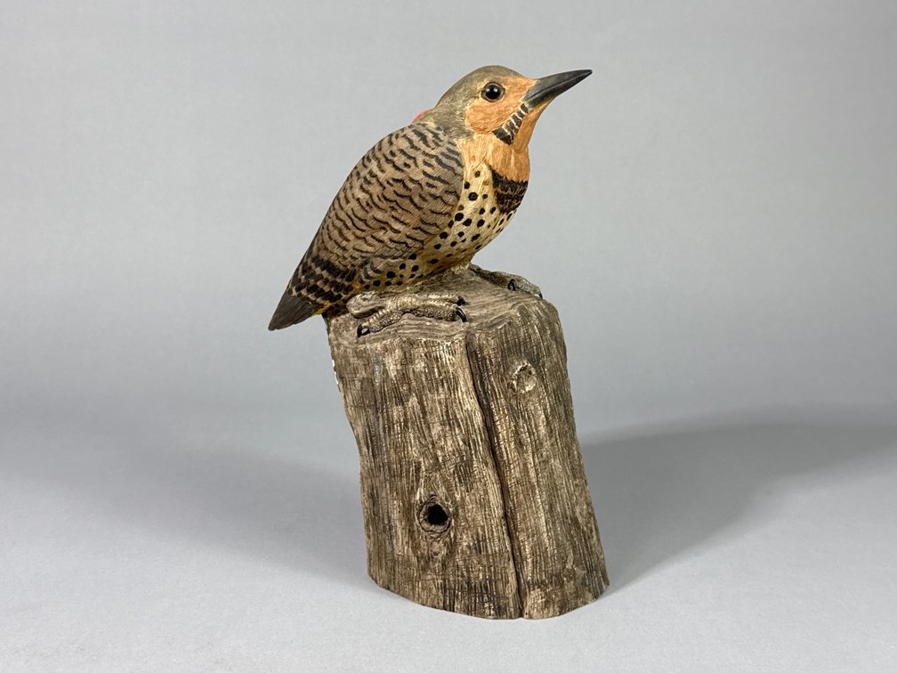 John Pickett, Yellow Shafted Flicker