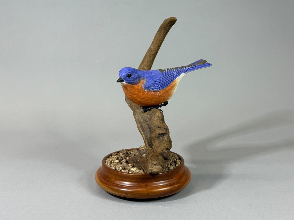 John Pickett, Shorebird