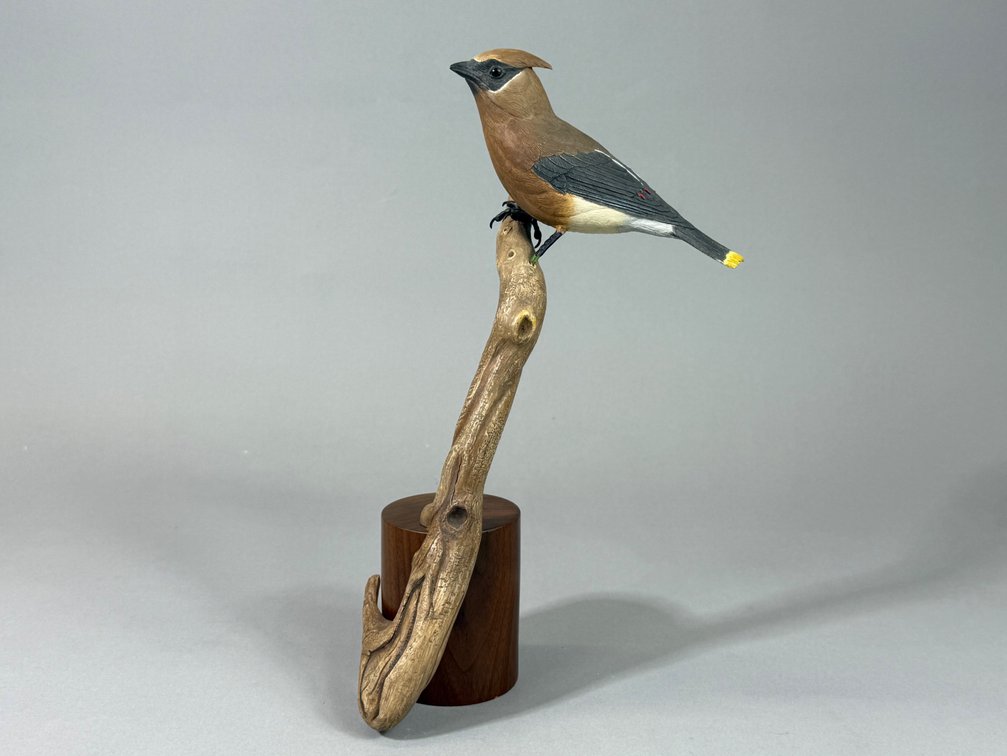 John Pickett, Songbird