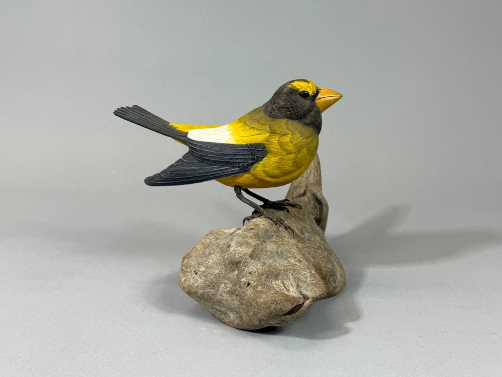 John Pickett, Songbird