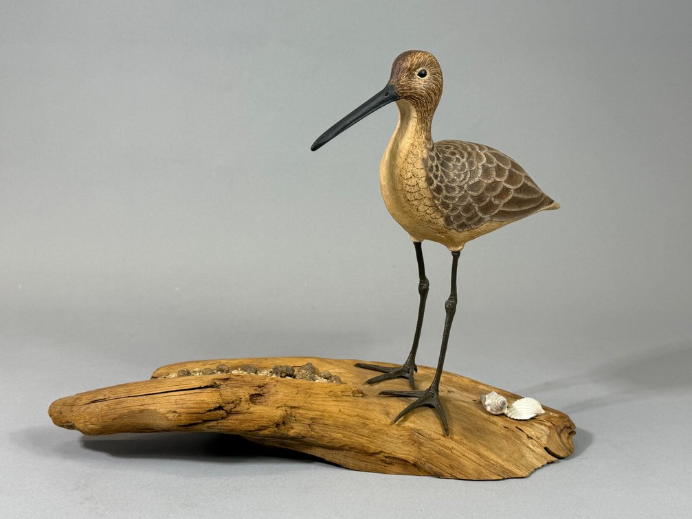 John Pickett, Shorebird