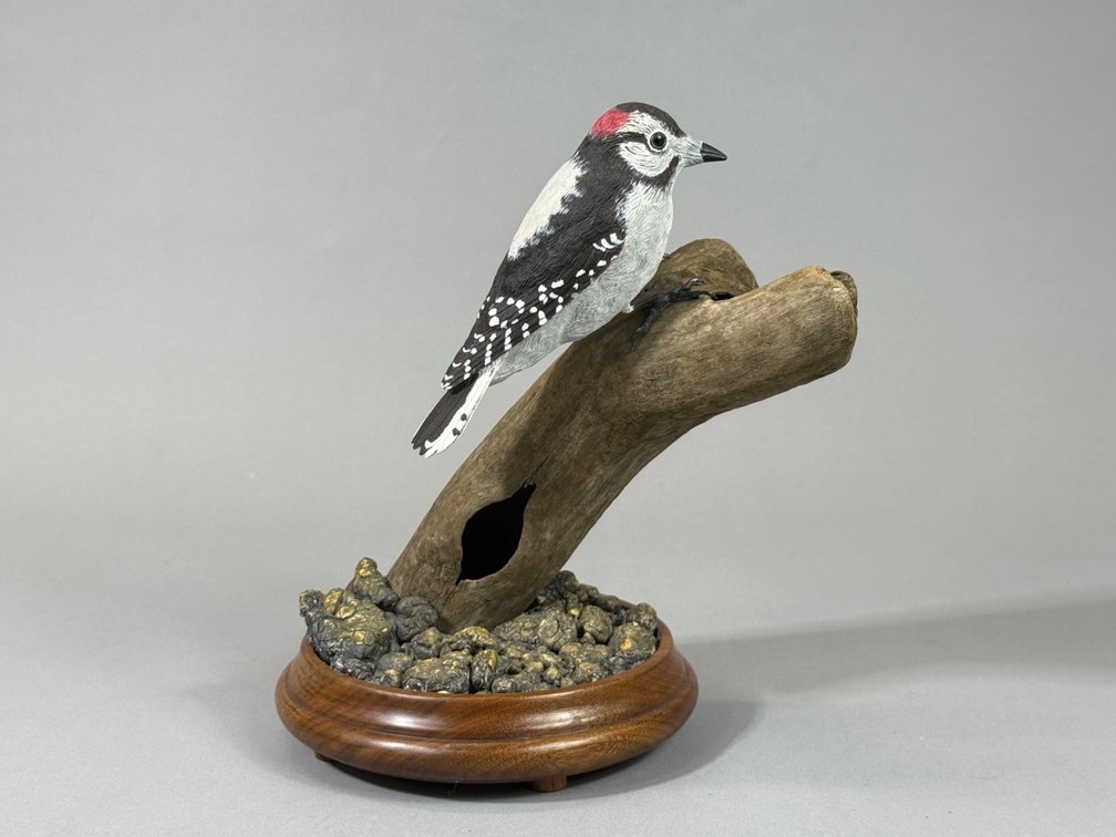 John Pickett, Wood Pecker