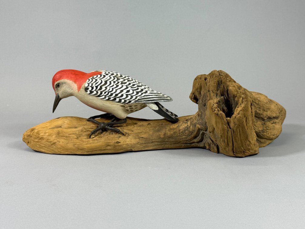 Donald Wheatcraft, Odessa, DE, Wood Pecker