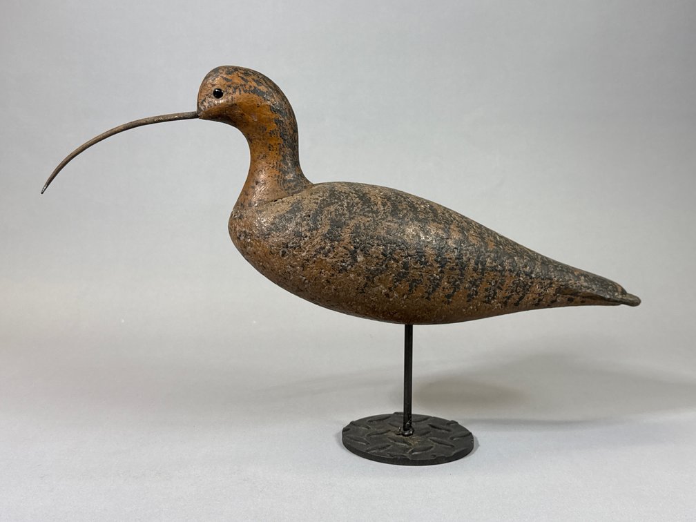 Cork Body Curlew