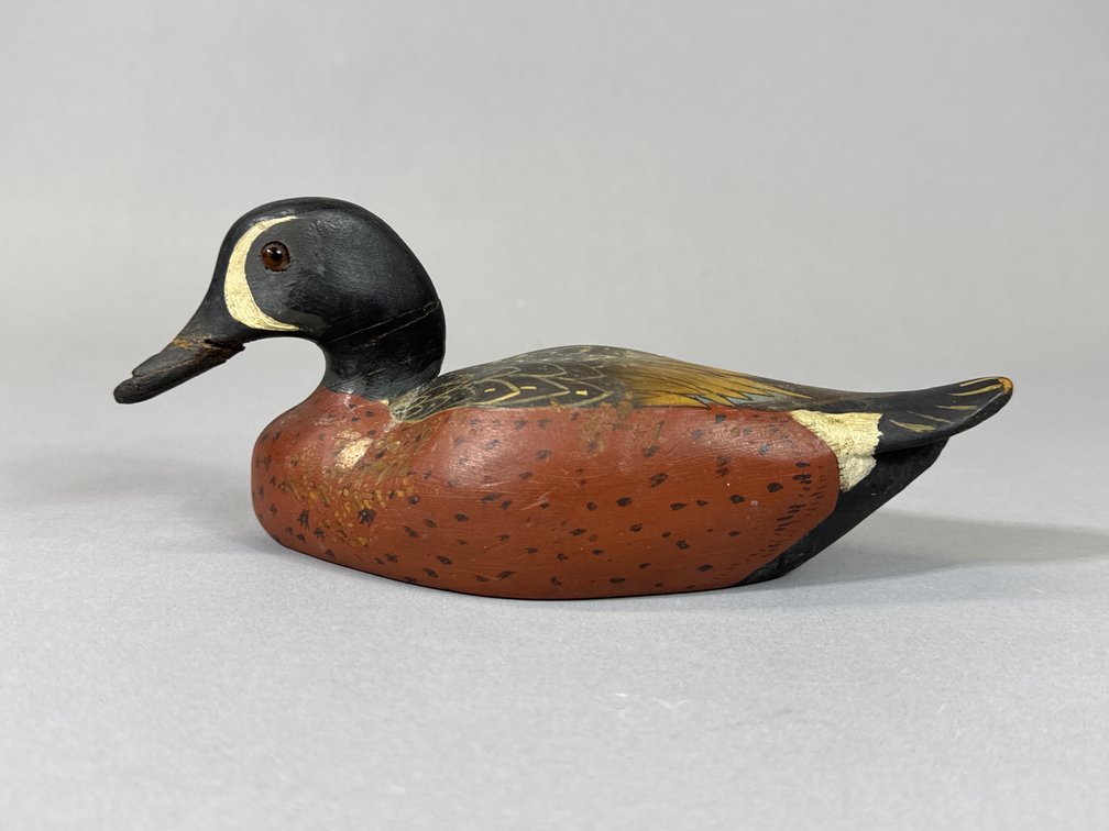 Blue Wing Teal, Miniature