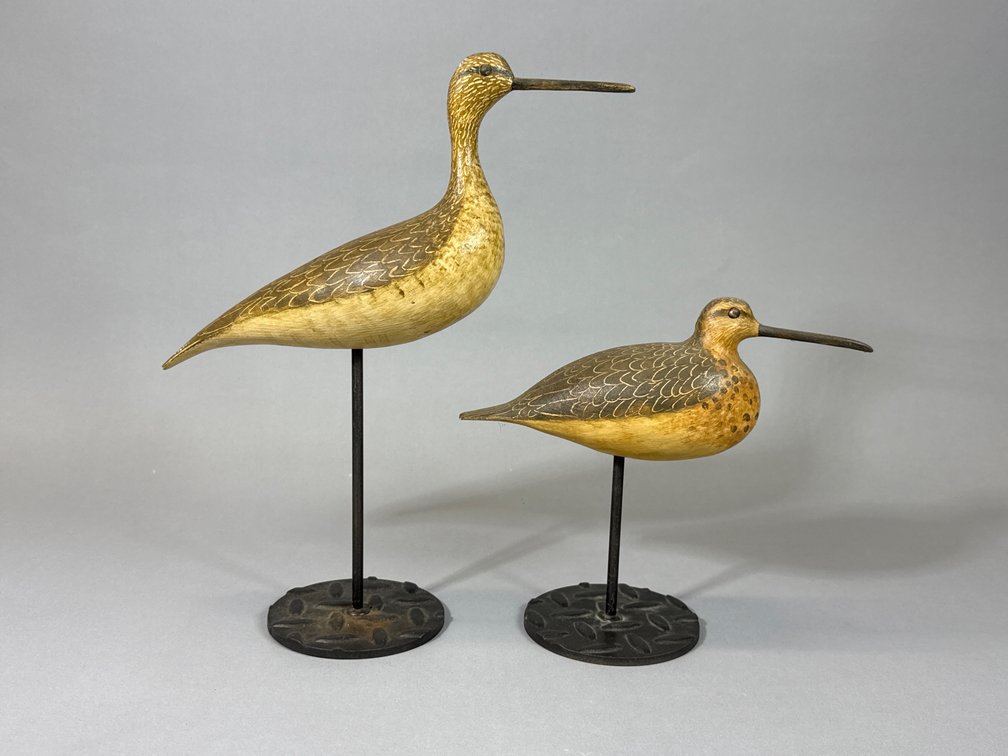 Ronald Justis, Chincoteague, VA, Shorebirds