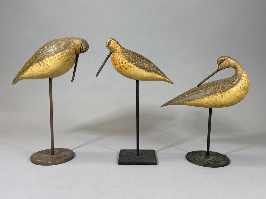 Ronald Justis, Chincoteague, VA, Shorebird Trio