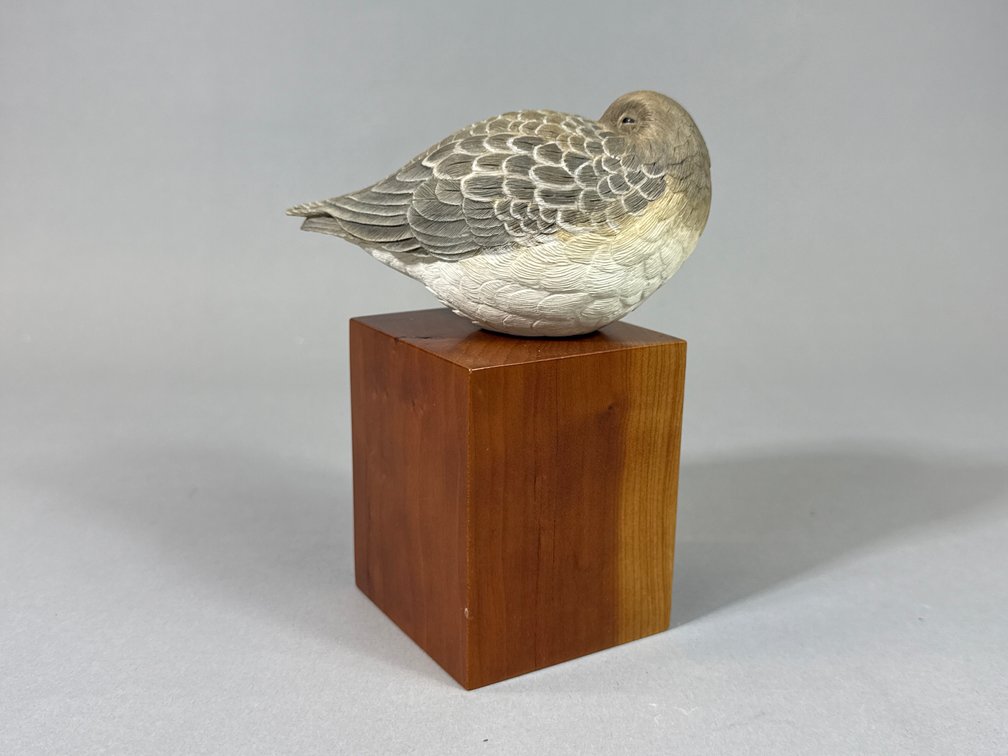 John E. Pritchett, Songbird 