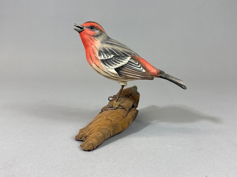 House Finch by Unknown Maker 