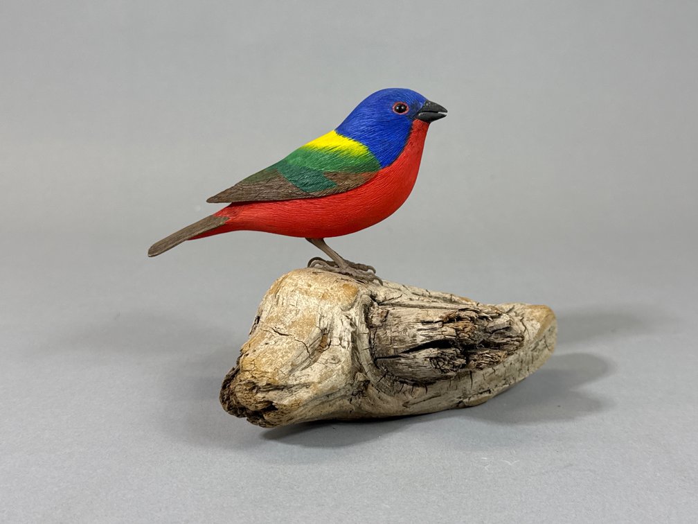 G. M. Boltz Songbird 