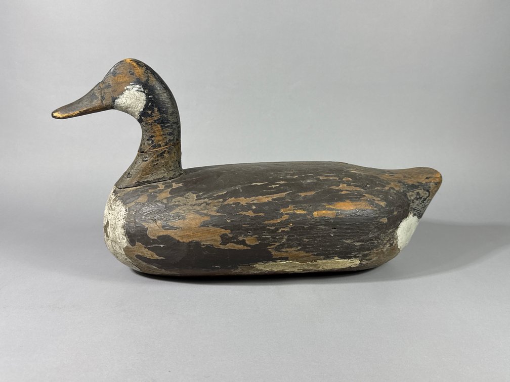 Sam Barnes, Havre de Grace, MD, Canada Goose