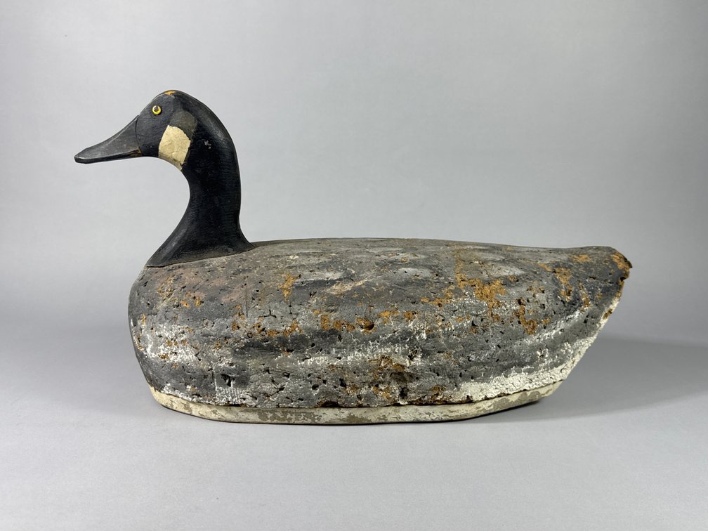 Sam Barnes, Havre de Grace, MD, Canada Goose