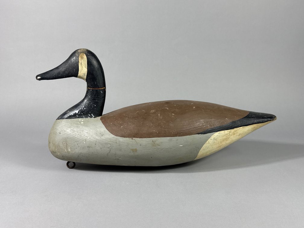 Holton Legg, Kent Island, MD, Canada Goose