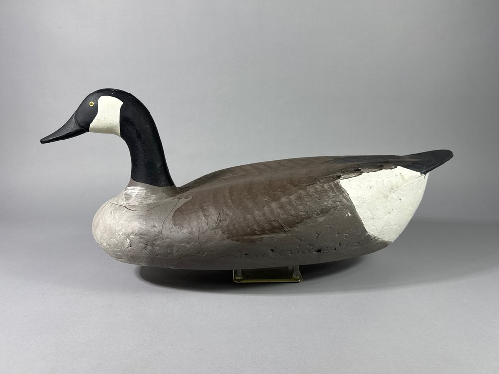 R Madison Mitchell, Havre de Grace, MD, Canada Goose
