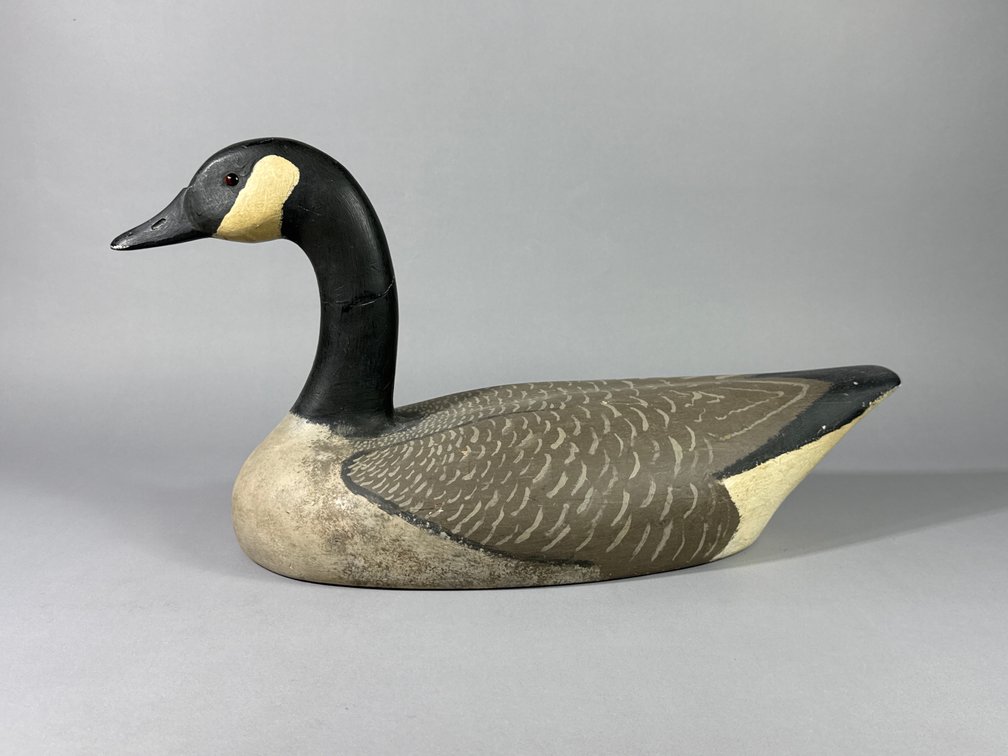 Gil Lowe, St Michaels, MD, Canada Goose