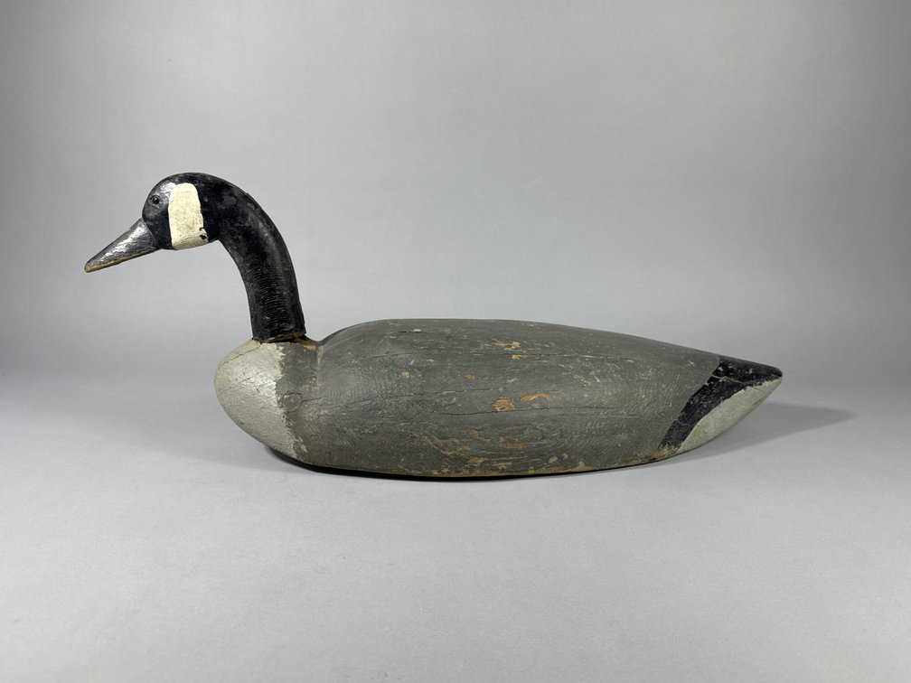 John Vickers, Cambridge, MD, Canada Goose