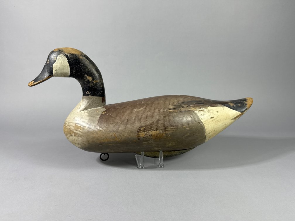 R Madison Mitchell, Havre de Grace, MD, Canada Goose