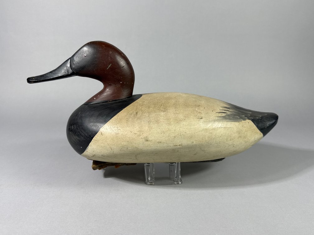 Bob Sellers Lancaster,  PA Canvasback 