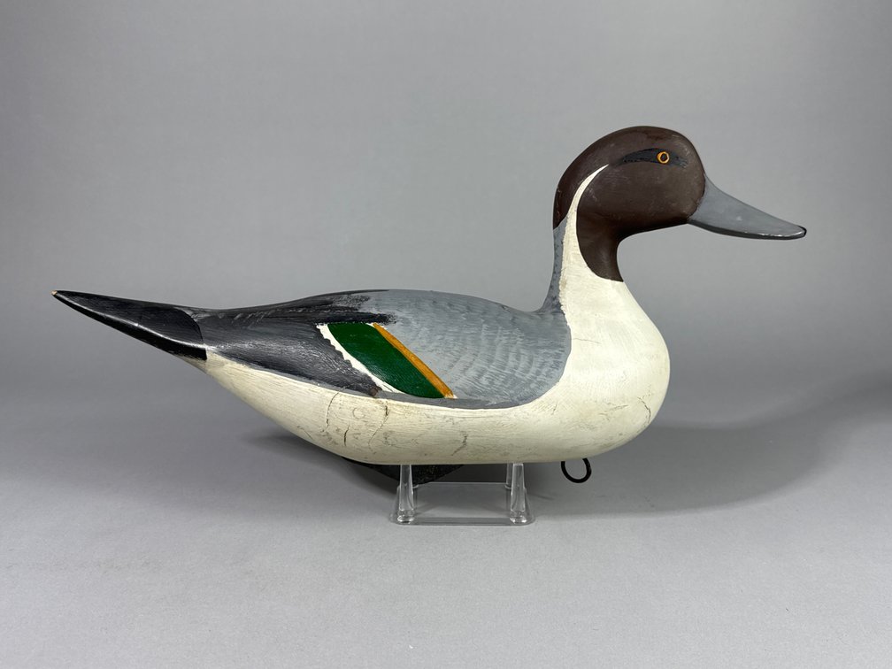 Ronald Labor, Fishing Creek, MD, Pintail