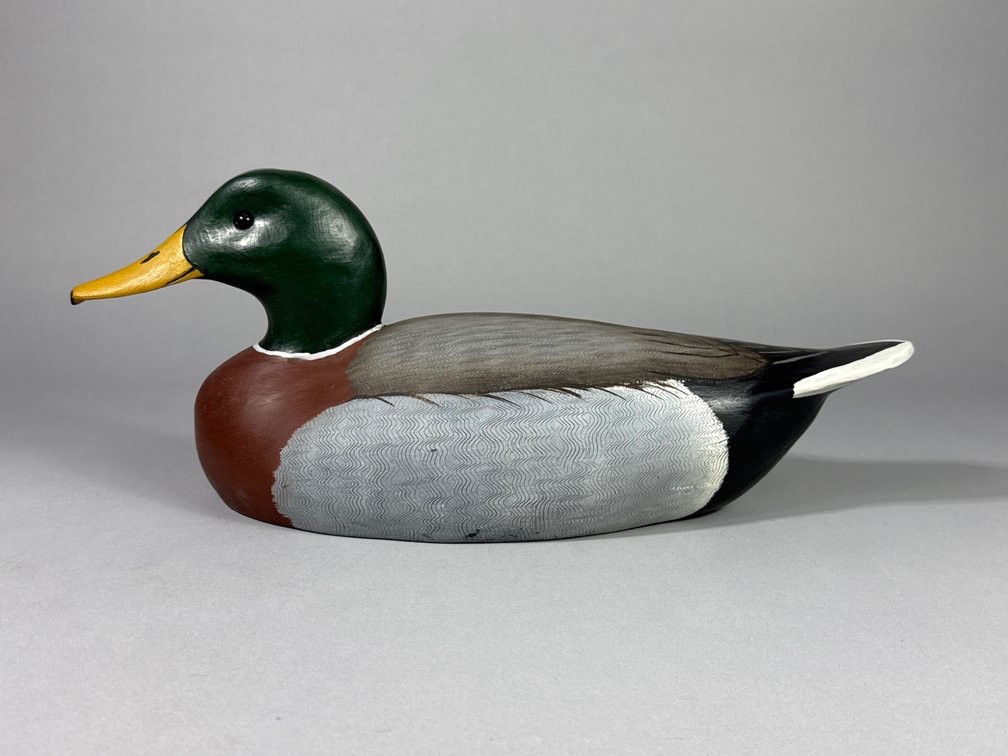 Carroll Lee Marshall, Sanford, VA, Mallard
