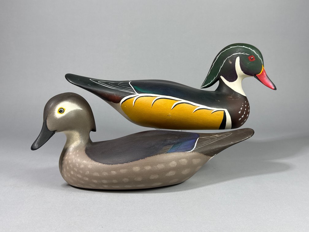 Tom Harman, Churchville, MD, Wood Duck Pair