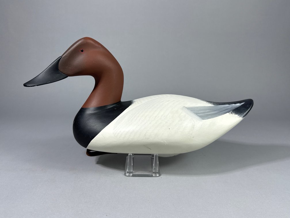 Dan Carson, Havre de Grace, MD, Canvasback