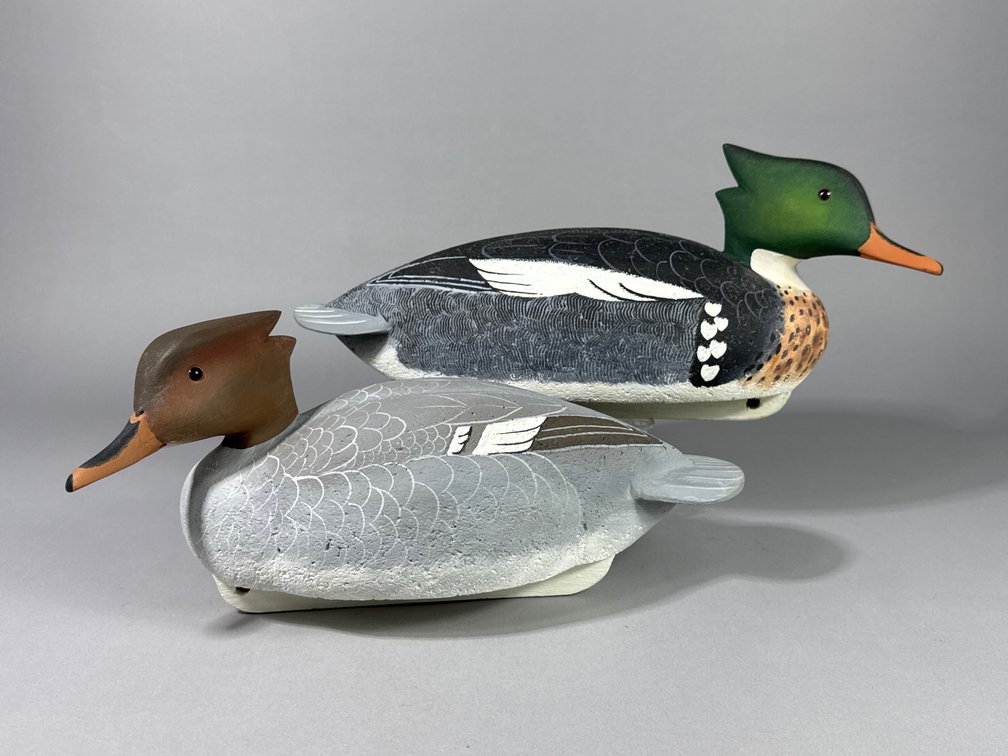 Ronald Labor, Hurlock, MD, Merganser Pair