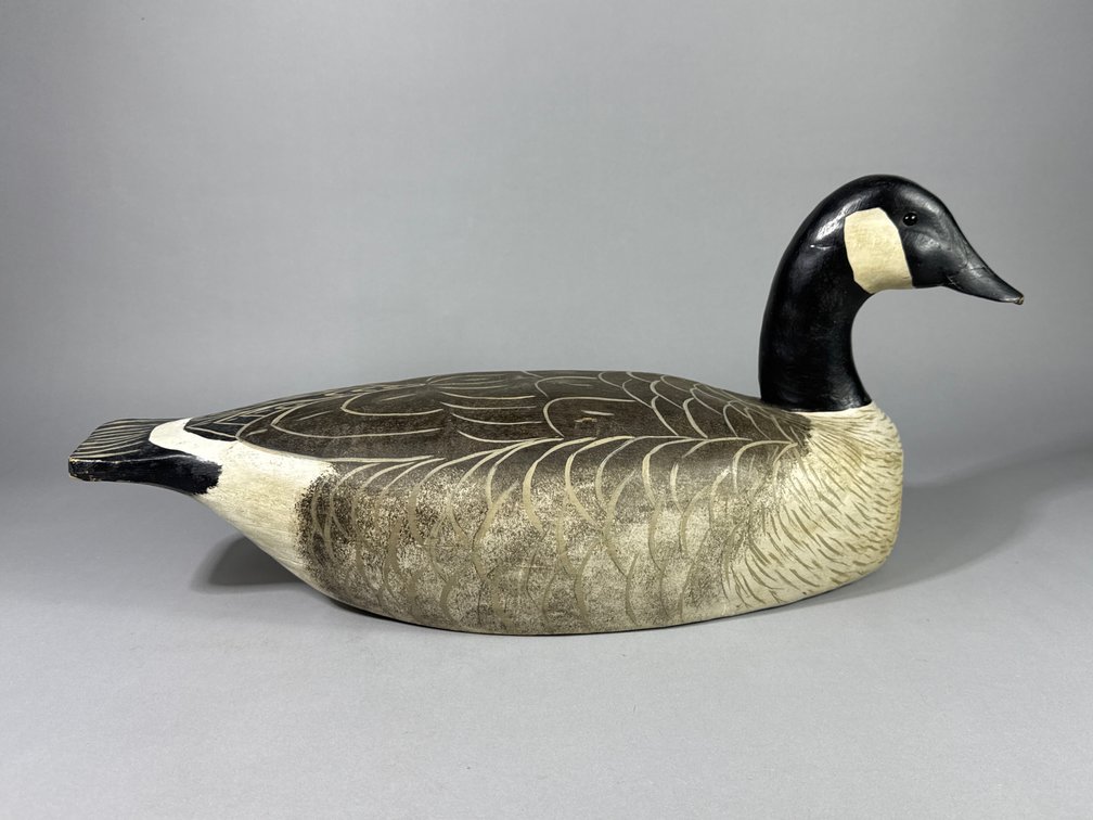 Carroll Lee Marshall, Sanford, VA, Canada Goose