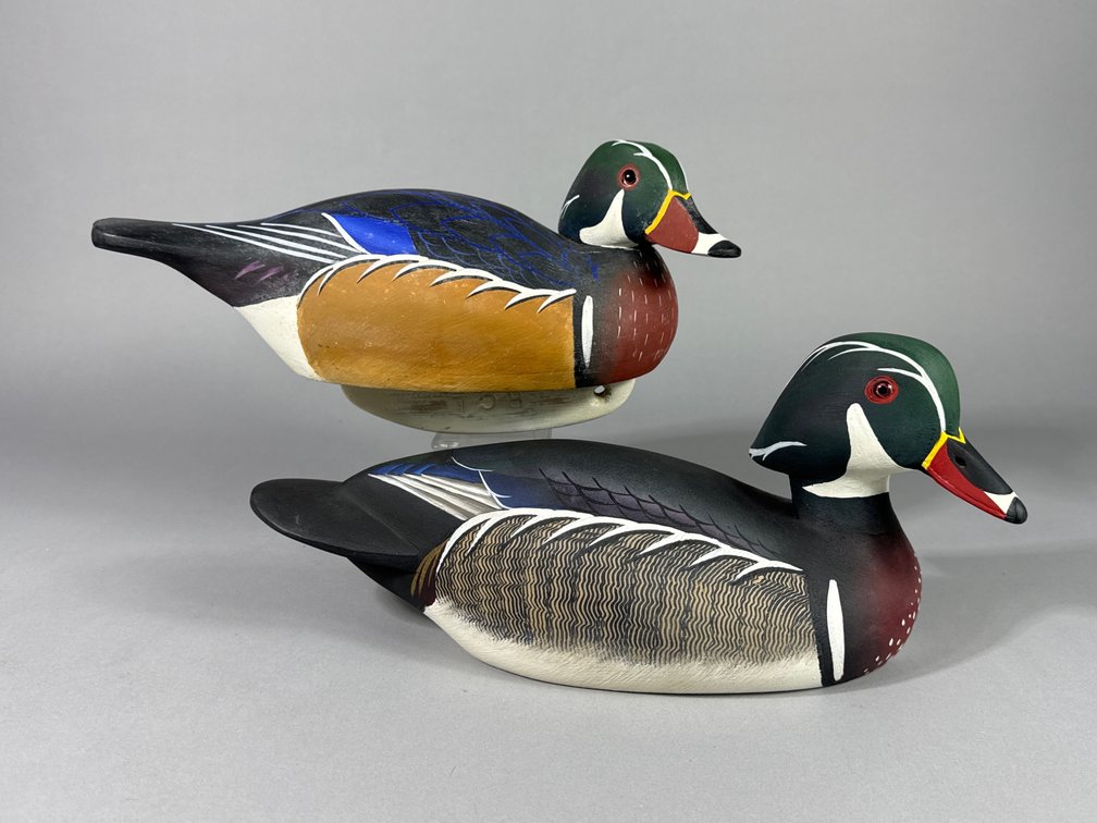Ronald Labor, Fishing Creek, MD, Wood Ducks