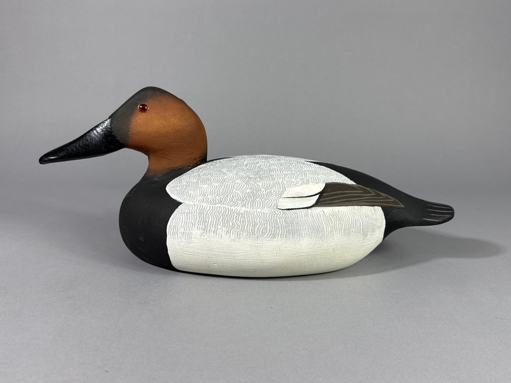 Ronald Labor, Hurlock, MD, Canvasback 