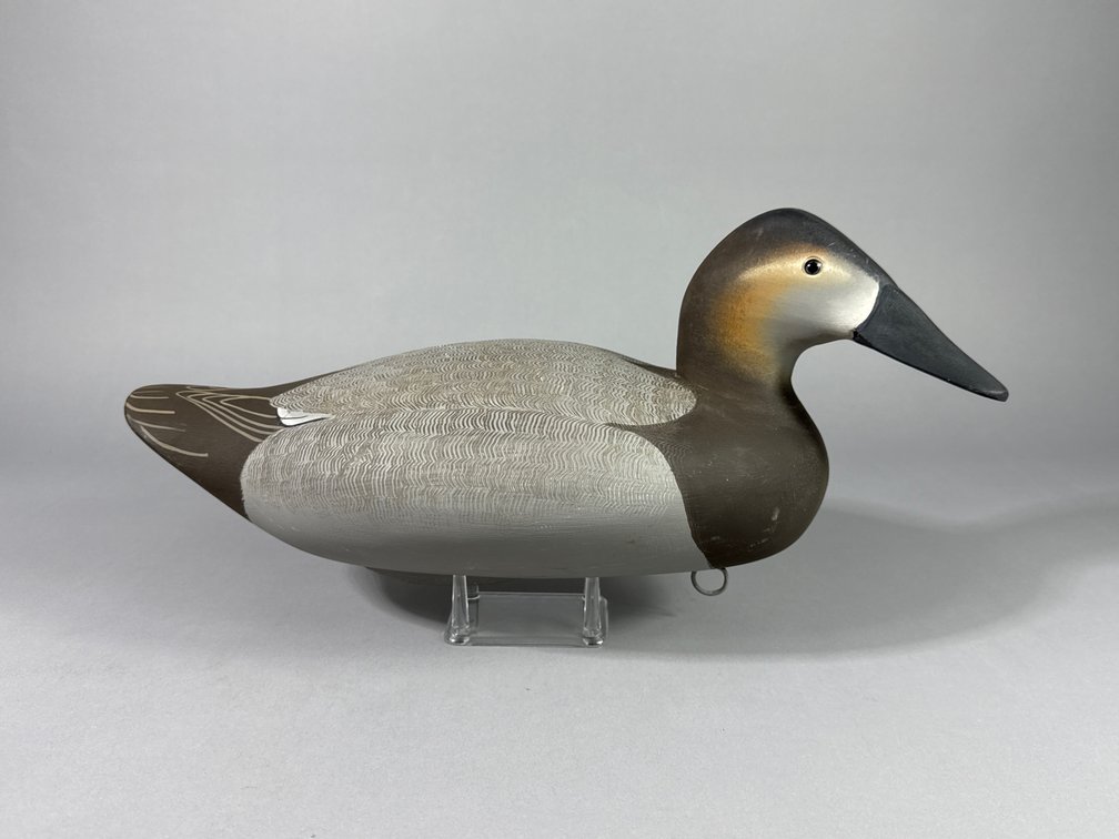 Ronald Labor, Fishing Creek, MD, Canvasback Hen