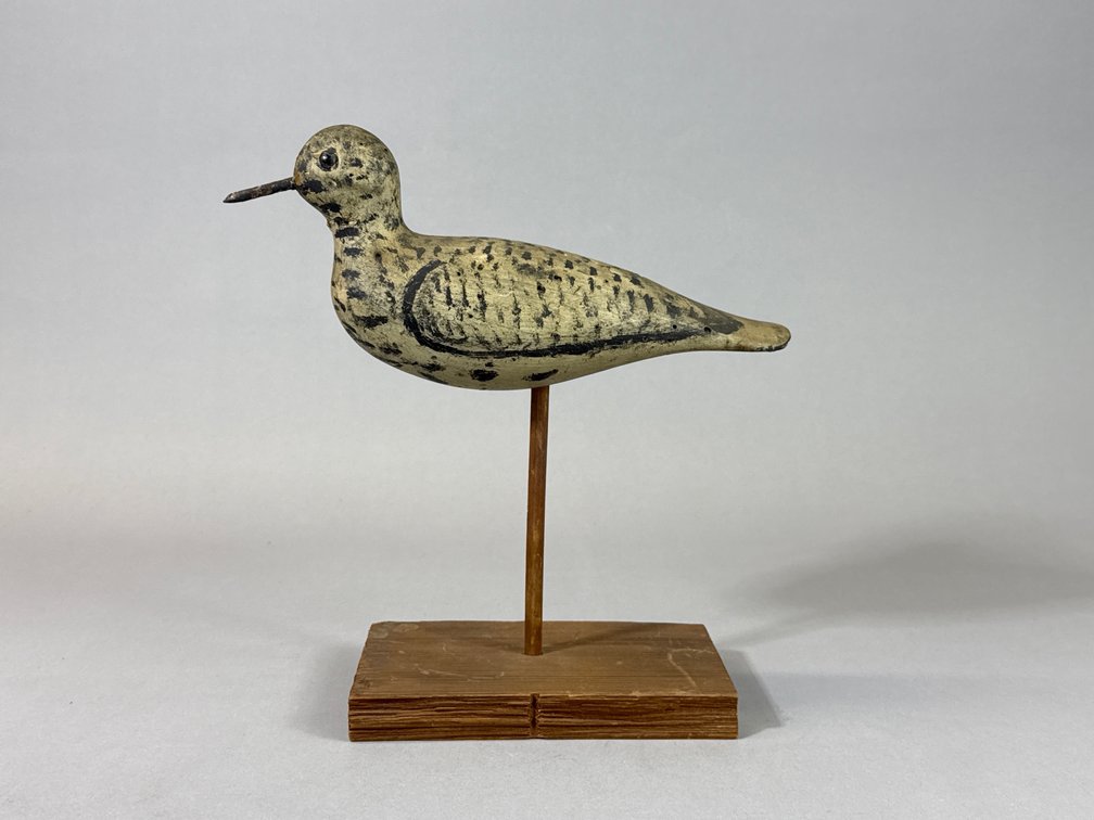 Mason Factory Plover