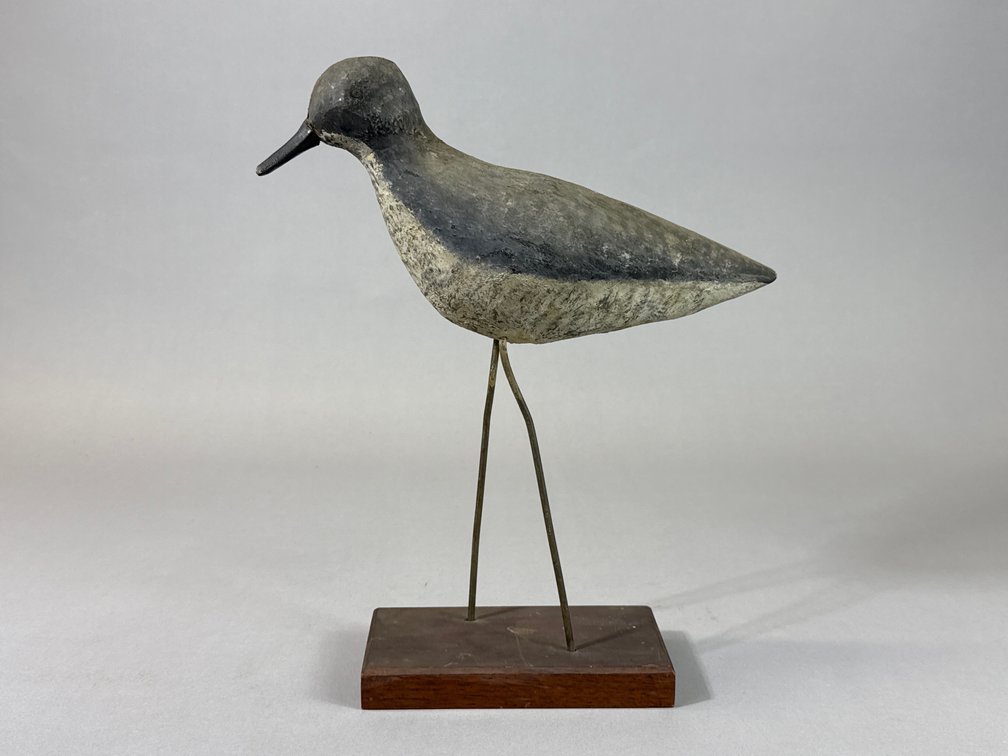 Long Point Park Ontario Plover 