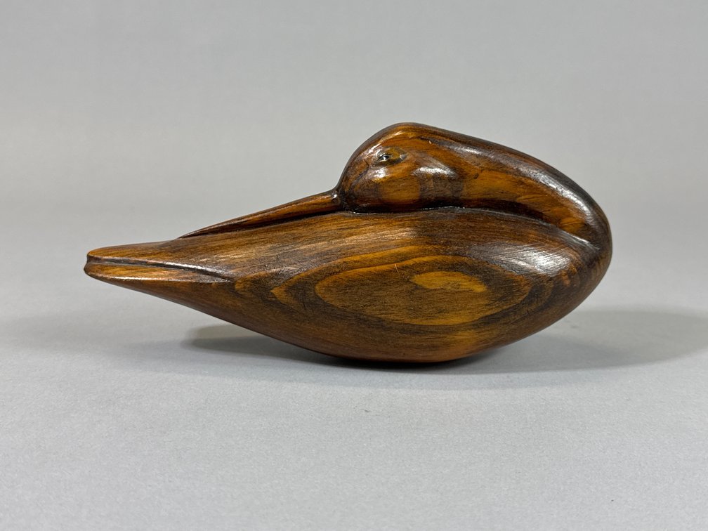 Contemporary Sleeping Shorebird 