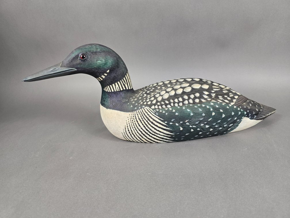 Ward E. Herrman, NY, American Loon