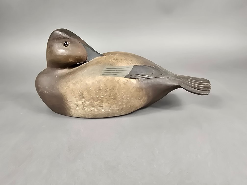 Hen Canvasback by Unknown Maker 