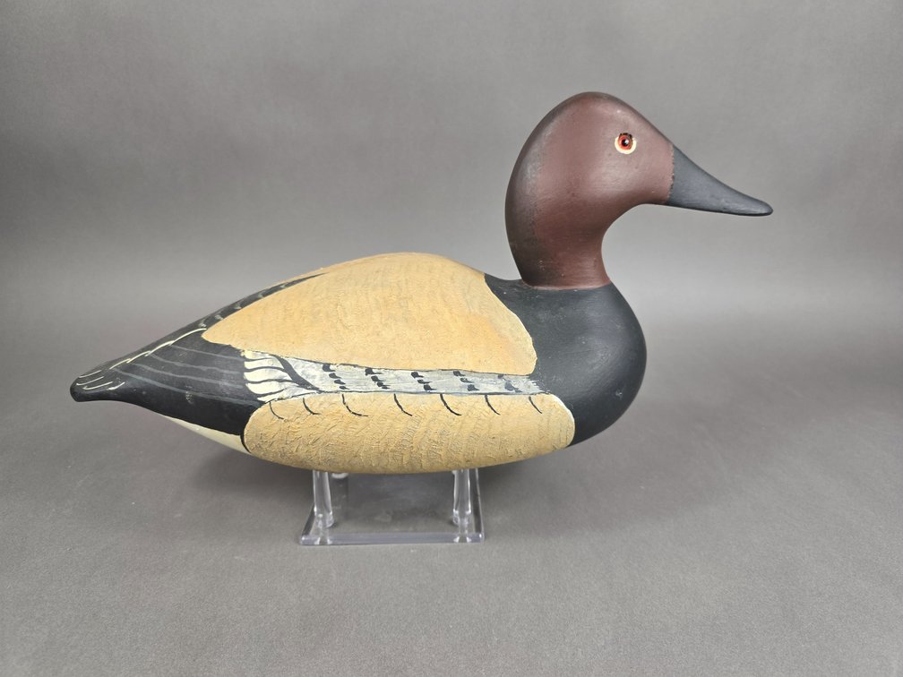 Charles Birdsall,  Point Pleasant,  NJ Canvasback 