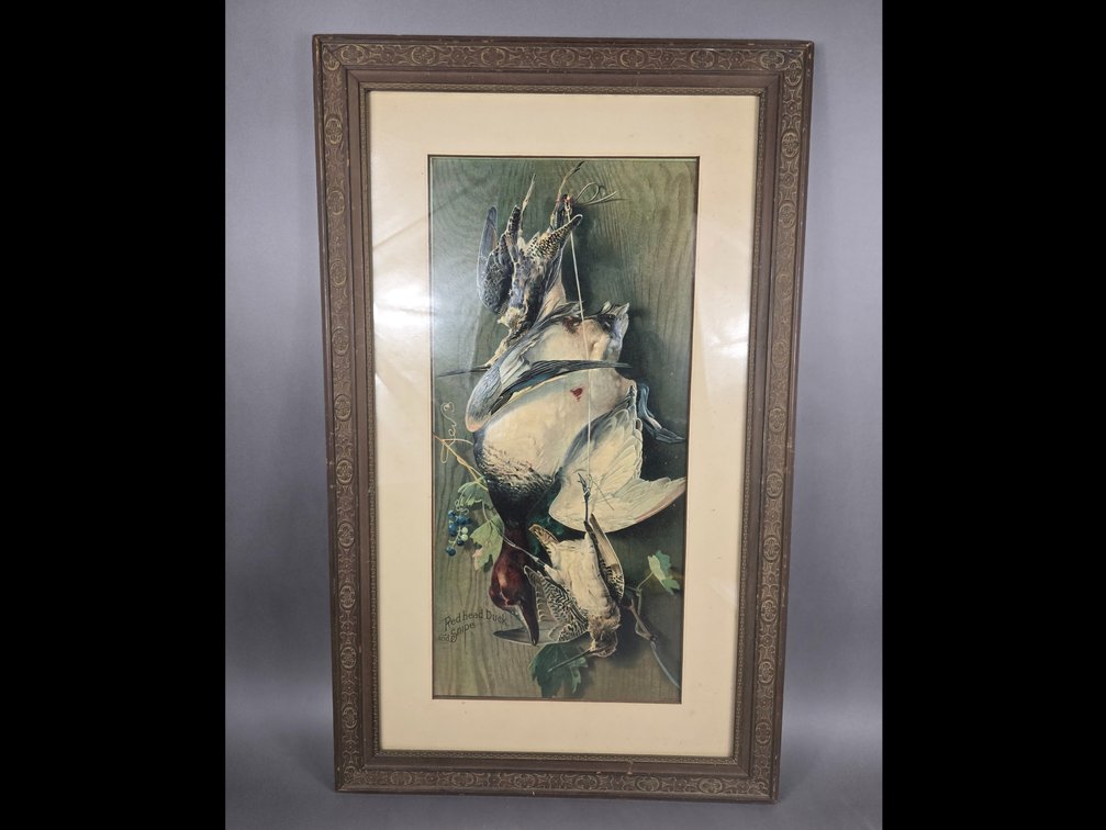 Red Head Duck and Snipe Framed Picture 