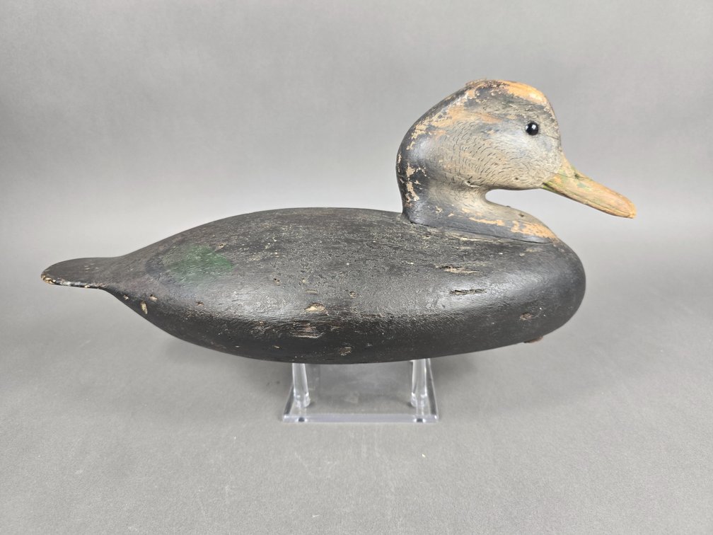 Black Duck marked TFS