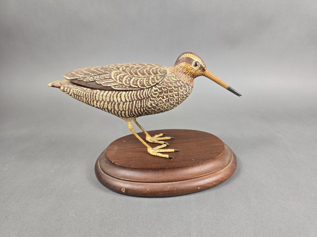 Snipe by R. Jasper