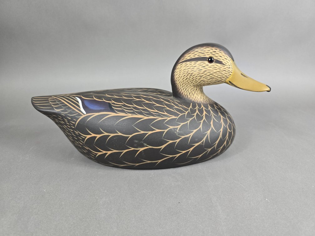 Bill Schauber,  Chestertown,  MD Black Duck