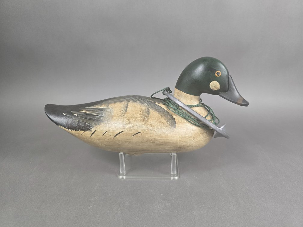 Jim Pierce Havre de Grace,  MD Goldeneye 