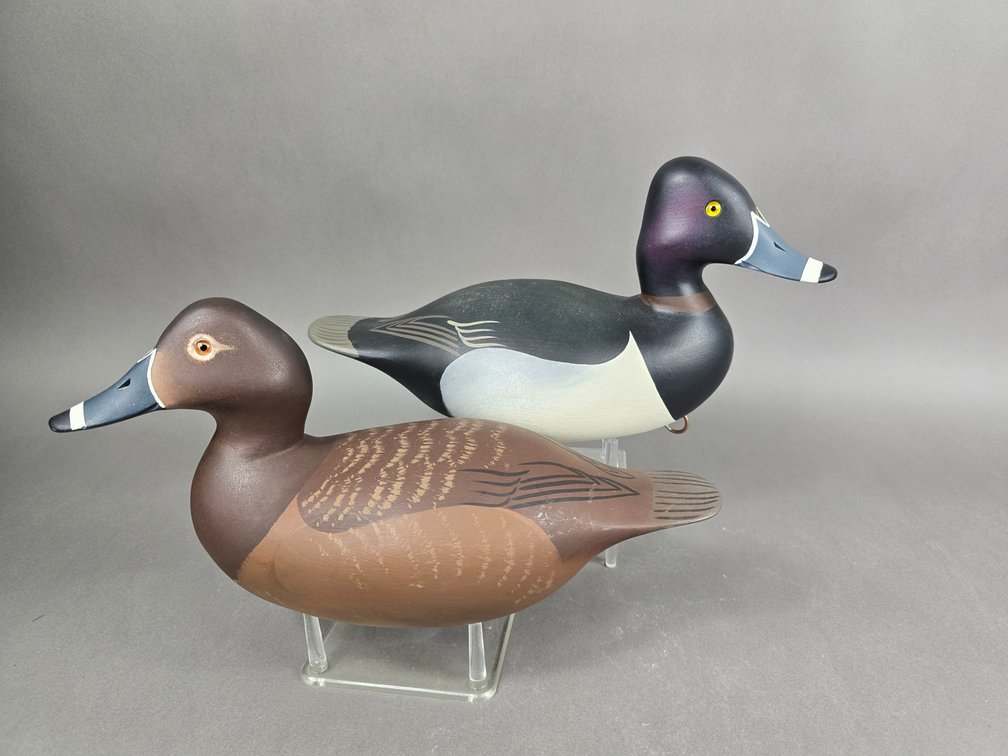 Bill Schauber Chestertown,  MD Ringneck Pair 