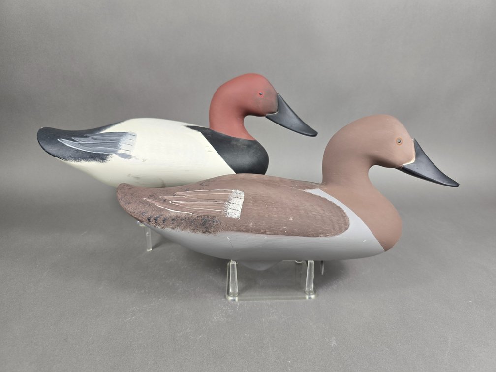 Jim Pierce Havre de Grace,  MD Canvasback Pair 