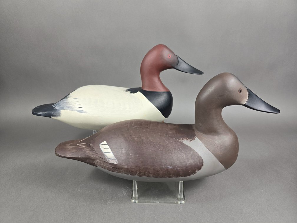 Jim Pierce Havre de Grace,  MD Canvasback Pair 