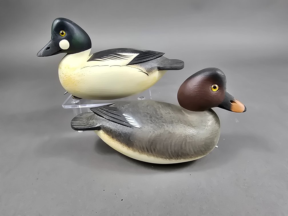 Rick Brown, NJ Mini Goldeneye Pair 