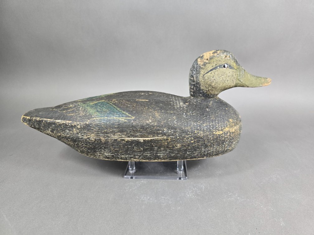 Factory Black Duck