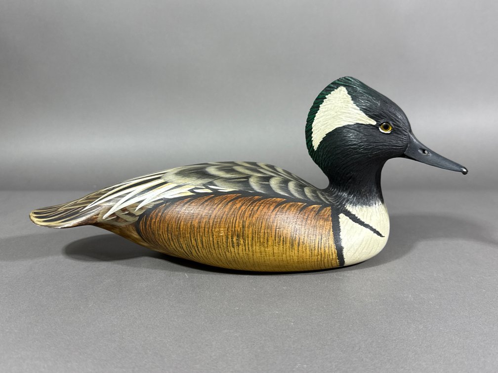 Armand J Carney, Tuckerton, NJ, Hooded Merganser